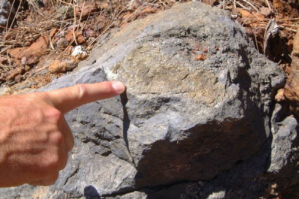 Look! A Rock!